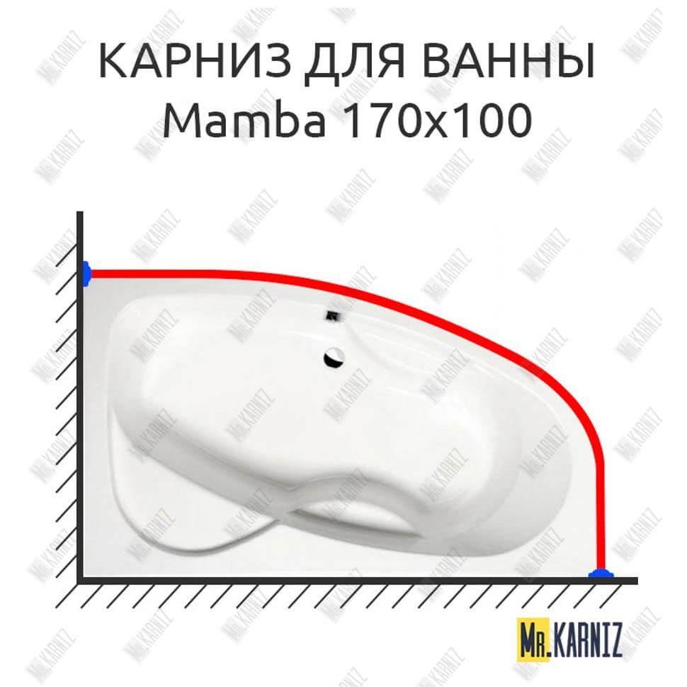Карниз для ванны Alpen Mamba 170х100 Усиленный 20 мм MrKARNIZ Карниз для ванны Alpen Mamba 170х100 Усиленный 20 мм MrKARNIZ